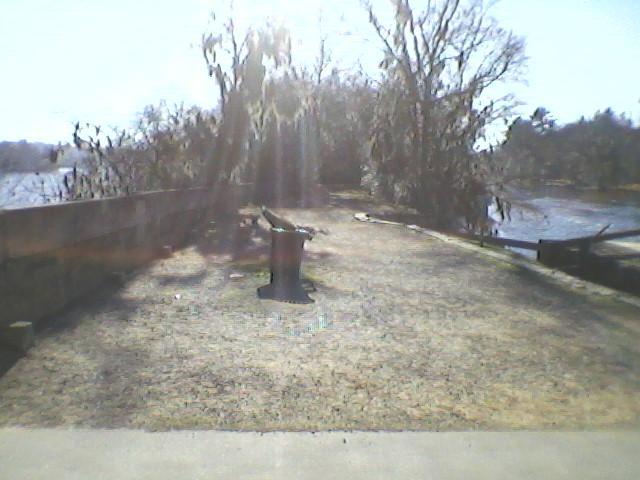 A sunny outdoor area adjacent to a body of water, featuring a concrete path leading to a grassy space. In the center, there is a trash can, and the background includes trees draped with Spanish moss, with a glimpse of the water on the right side. The scene conveys a peaceful, natural environment. Augusta Canal mountain bike trail.
