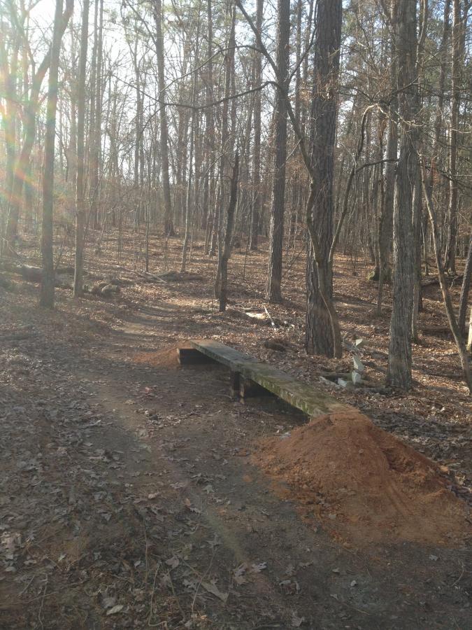 A wooded area with tall trees and a dirt path. In the foreground, there is a wooden ramp next to a pile of dirt, suggesting some recent construction or trail modification. The ground is covered with fallen leaves, and the sunlight filters through the trees, creating a warm atmosphere. Allatoona Creek Park mountain bike trail.