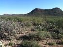 A landscape view of a desert scene featuring cacti and shrubs in the foreground, with a mountainous backdrop under a clear blue sky. Robles Pass mountain bike trail.