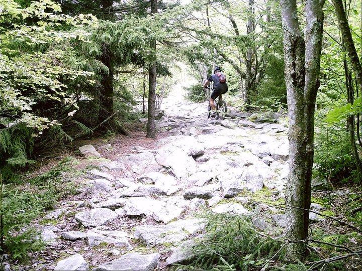 A cyclist navigates a rocky trail surrounded by lush green trees in a forested area. Gauley Headwaters mountain bike trail.