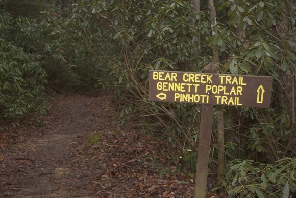 A wooden trail sign indicating directions for Bear Creek Trail, Gennett Poplar, and Pinhoti Trail, surrounded by greenery and a dirt path leading into a forest. Pinhoti Trail: P1 / Bear Creek Pinhoti mountain bike trail.