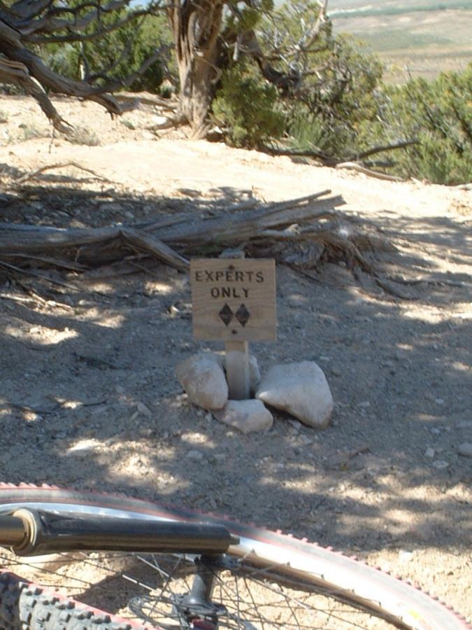 A wooden sign reading "EXPERTS ONLY" is placed on a dirt trail surrounded by low vegetation and rocks, with a mountain bike partially in view in the foreground. Zippety Do Dah mountain bike trail.