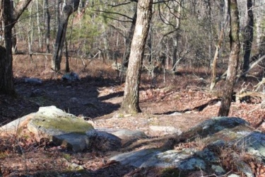 A forested path winding through a wooded area, bordered by large rocks and fallen leaves. Trees with bare branches stand in the background, and patches of green foliage are visible among the natural landscape. Cheaha State Park mountain bike trail.