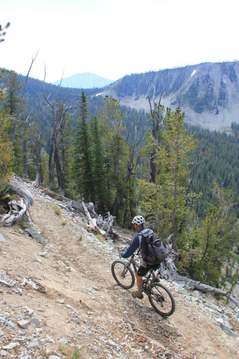 A person riding a mountain bike down a rocky trail surrounded by tall pine trees and mountainous terrain. The rider is wearing a helmet and a backpack, navigating the steep descent. In the background, a range of mountains is visible under a cloudy sky. CDT: Upper Sheep Creek To Carmen Creek mountain bike trail.