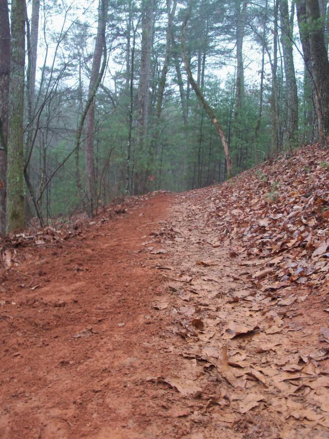 A winding trail through a forest, with a reddish dirt path partially covered in fallen leaves, flanked by green trees and a misty atmosphere. Jake to Bull Mountain Connecter mountain bike trail.