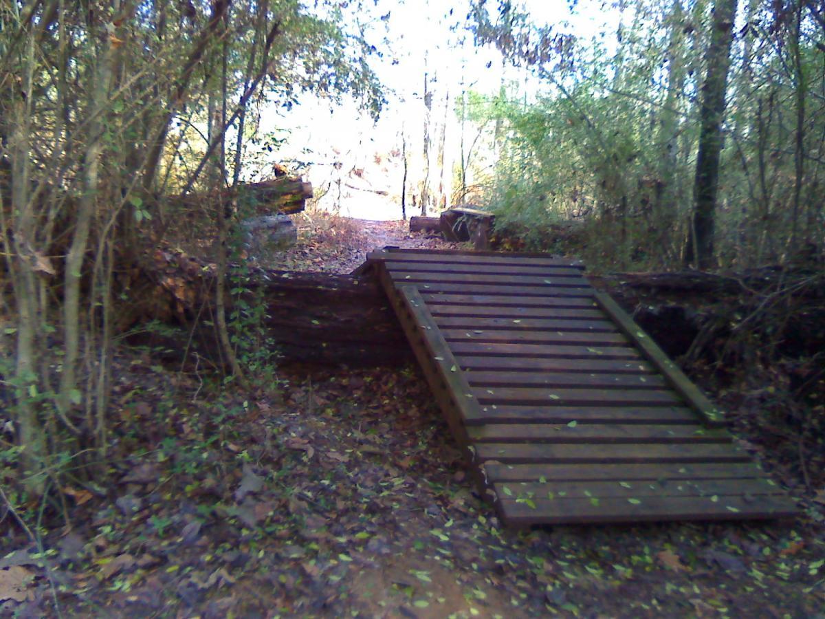 A wooden ramp leading into a wooded area, surrounded by trees and foliage. The path is unpaved, with fallen leaves scattered along the ground. In the background, a continuation of the trail is visible through the trees. Wolf River Trail mountain bike trail.