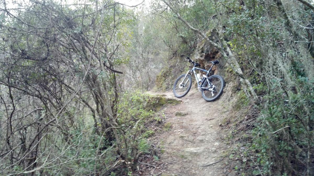 A mountain bike parked on a narrow dirt trail surrounded by dense greenery and trees, with rocky terrain visible in the background. Santos mountain bike trail.
