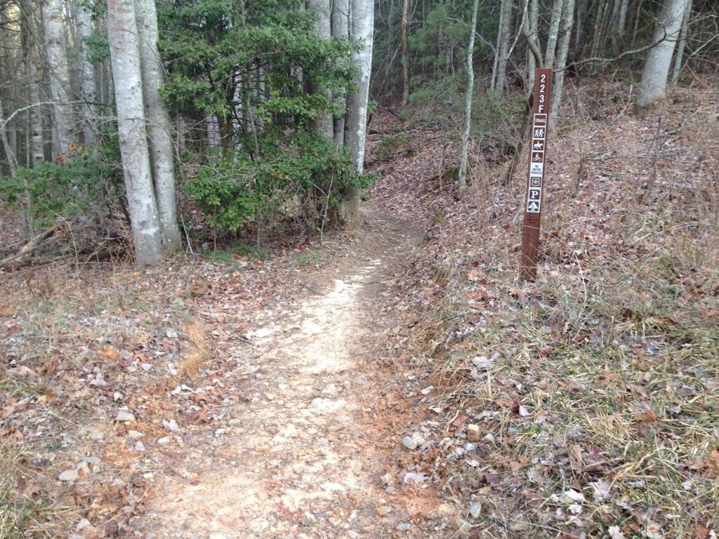 A narrow dirt trail winding through a wooded area, with trees lining both sides. A trail marker stands on the right, indicating trail number 223F and displaying various icons for trail usage, including hiking, horseback riding, and parking. The ground is covered with fallen leaves and small rocks. Bull Mountain / 223 mountain bike trail.