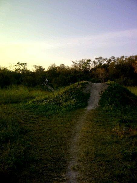 A dirt bike trail curving through a grassy area, leading up to a dirt jump surrounded by trees, with a soft sunset light illuminating the scene. Caloosahatchee Regional Park mountain bike trail.