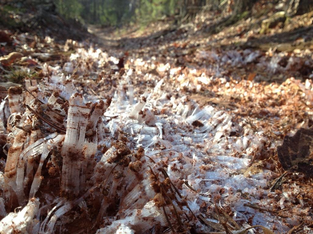 Close-up view of a forest path covered with crystalline frost and brown soil, with pieces of fallen leaves scattered among the frost formations. The image highlights the textures created by the ice and natural earth materials. Bull Mountain / 223 mountain bike trail.