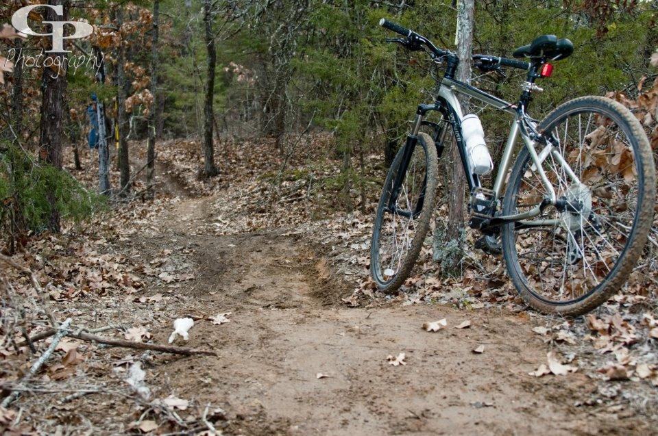 A mountain bike is positioned on the edge of a dirt trail surrounded by trees in a forested area. The trail is partially covered with fallen leaves and has a slight curve, suggesting it continues deeper into the woods. The bike features a water bottle attached to the frame and is resting on one side of the path, highlighting an outdoor recreational scene. Elk