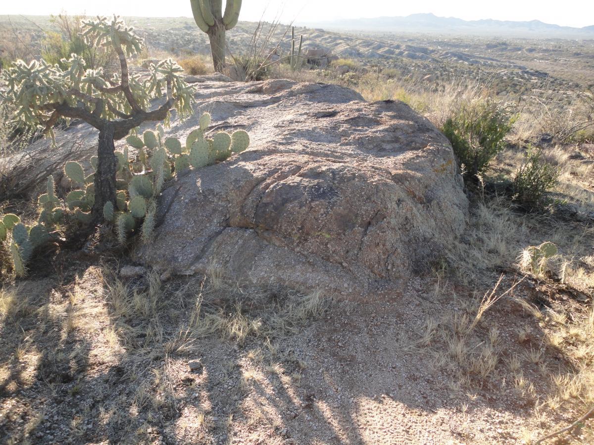 A rocky landscape featuring a large boulder surrounded by desert vegetation, including a cactus and spiky plants, with rolling hills and mountains in the background under bright sunlight. 50-year Trail / Golder Ranch mountain bike trail.