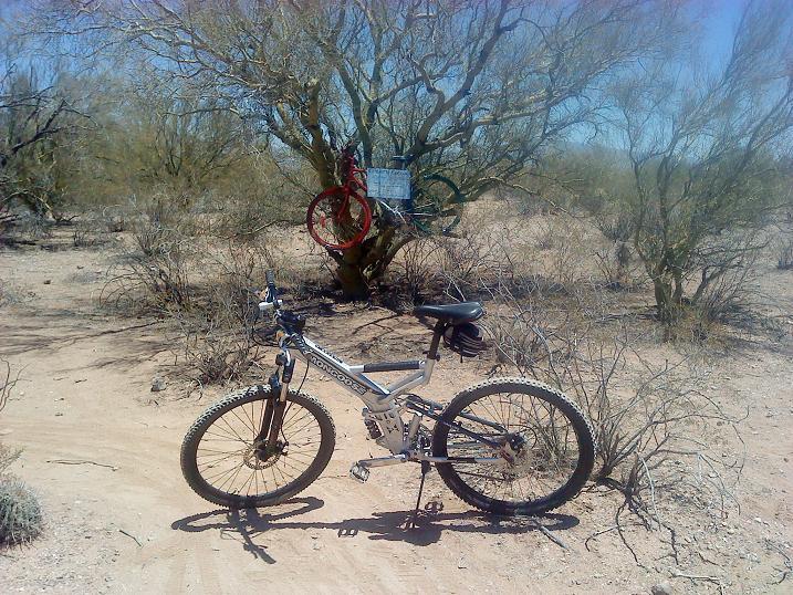 A mountain bike parked on a dirt path in a desert landscape, with a tree in the background adorned with red and green bicycle rims and a sign. The scene features sparse vegetation and clear blue skies. Fantasy Island mountain bike trail.
