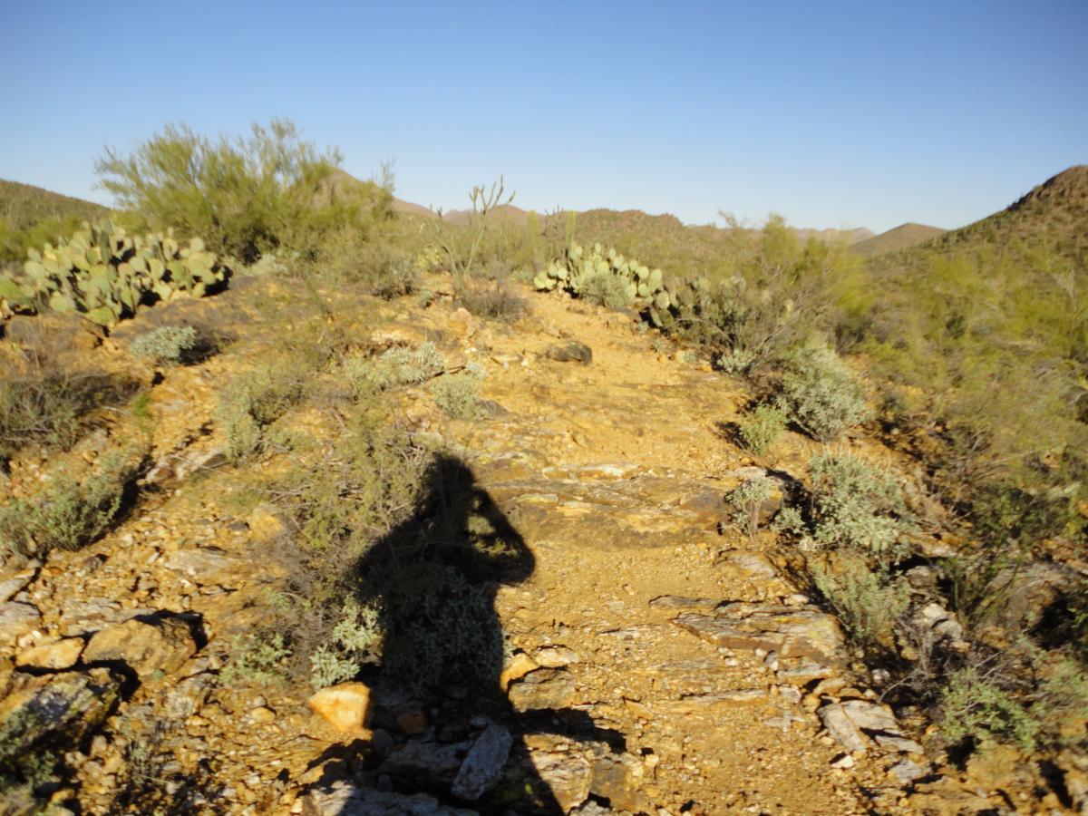 A rocky trail winding through a desert landscape with scattered vegetation, including cacti and shrubs, under a clear blue sky. A shadow of a person is visible in the foreground, capturing the scene. Robles Pass mountain bike trail.
