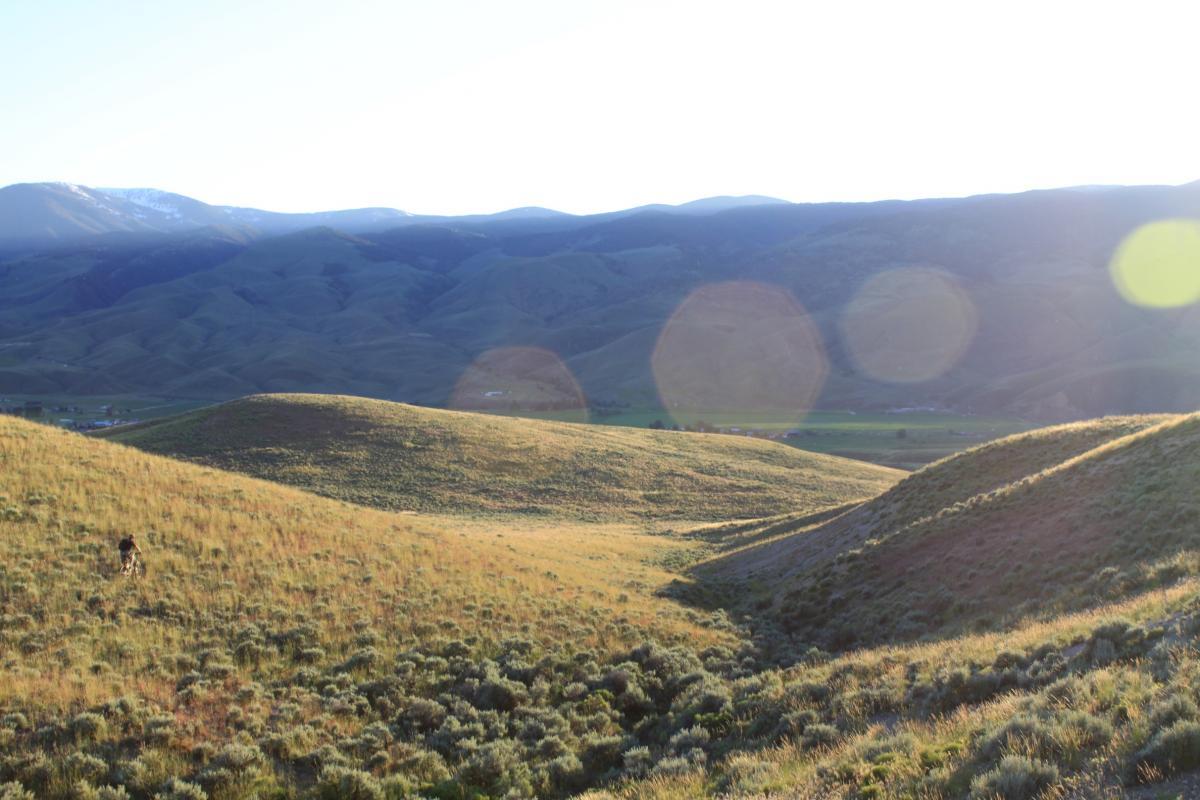 A serene landscape featuring rolling hills covered in golden grass and sagebrush, with distant mountains under a clear blue sky. The sun casts a warm glow across the scene, highlighting the gentle undulations of the terrain. In the foreground, a person can be seen walking through the grassy area, adding a sense of scale to the expansive view. Discovery Hill Trails mountain bike trail.