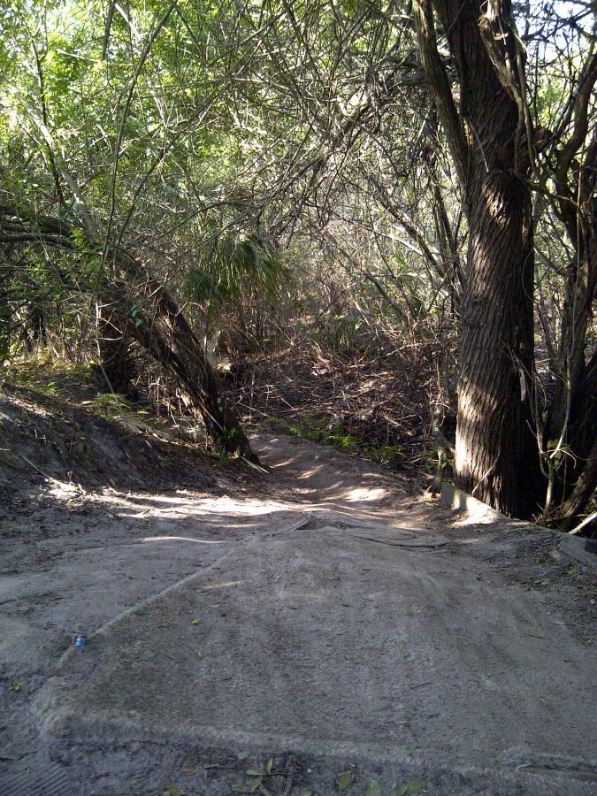 A narrow pathway leading through dense greenery, with tall trees on either side and a slight incline. The ground is mostly sandy and uneven, suggesting a natural, outdoor environment. Sunlight filters through the foliage, casting dappled light on the trail ahead. Caloosahatchee Regional Park mountain bike trail.