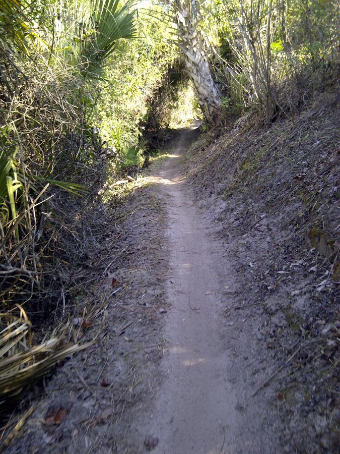 A narrow dirt path winding through dense foliage, flanked by greenery and trees, creating a shaded trail surrounded by natural vegetation. Caloosahatchee Regional Park mountain bike trail.