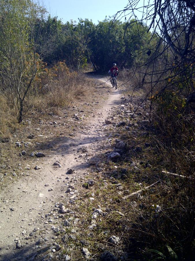 A mountain biker navigating a rocky dirt trail surrounded by sparse vegetation and trees on a clear day. Caloosahatchee Regional Park mountain bike trail.