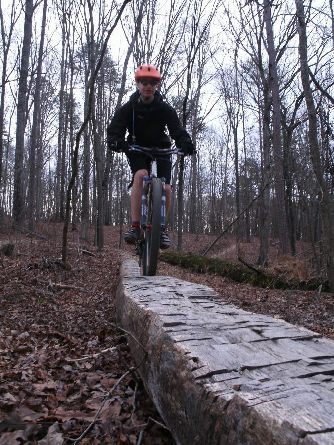 A person riding a mountain bike along a narrow log bridge in a forested area during autumn. The rider is wearing an orange helmet and sunglasses, with trees and fallen leaves visible in the background. Enterprise South mountain bike trail.