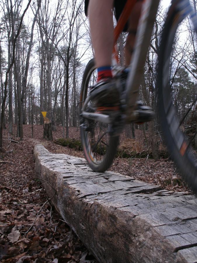 A mountain biker rides along a narrow wooden log bridge in a forested area, with leaf-covered ground and bare trees in the background. A yellow trail marker is visible in the distance. The image captures the motion of the bike, emphasizing speed and balance on the log. Enterprise South mountain bike trail.