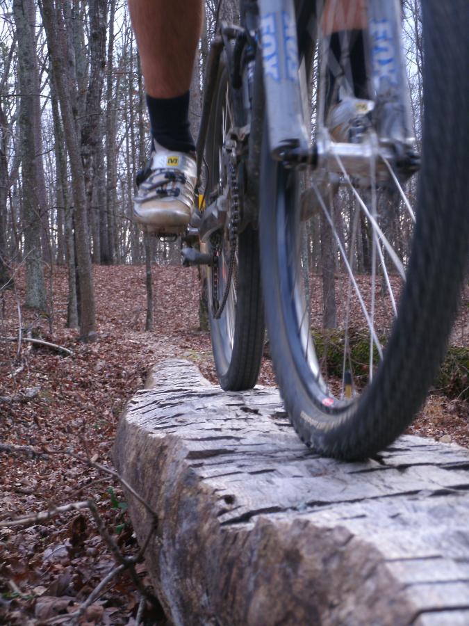 A close-up view of a mountain bike navigating a wooden log bridge through a forest, with a rider's leg visible above the bike. The surrounding area features leaf-covered ground and bare trees, indicating a late autumn or early winter setting. Enterprise South mountain bike trail.