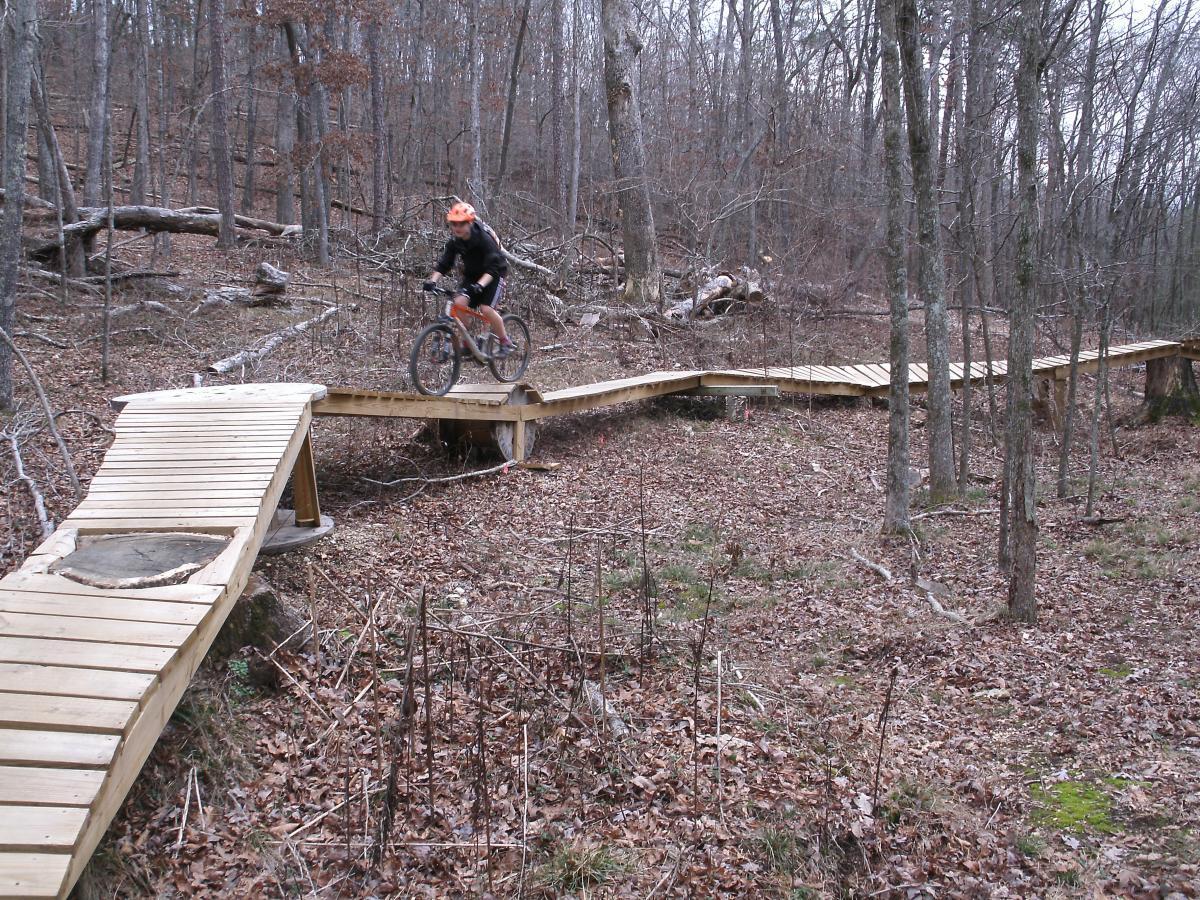 A mountain biker navigating over a wooden bridge in a forested area, surrounded by trees and fallen branches, with autumn leaves covering the ground. Enterprise South mountain bike trail.