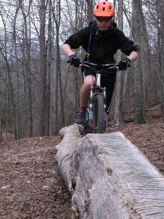 A cyclist wearing an orange helmet and sunglasses navigates a wooden log on a forest trail, surrounded by bare trees and fallen leaves. The rider is focused and in a crouched position, demonstrating skill in mountain biking. Enterprise South mountain bike trail.