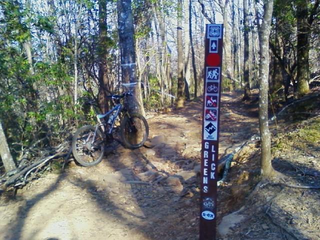 A mountain bike resting against a tree on a dirt trail, with a wooden trail sign displaying various trail markers and warnings. The surroundings feature dense trees and underbrush, indicating a natural environment suitable for biking. Greenslick mountain bike trail.