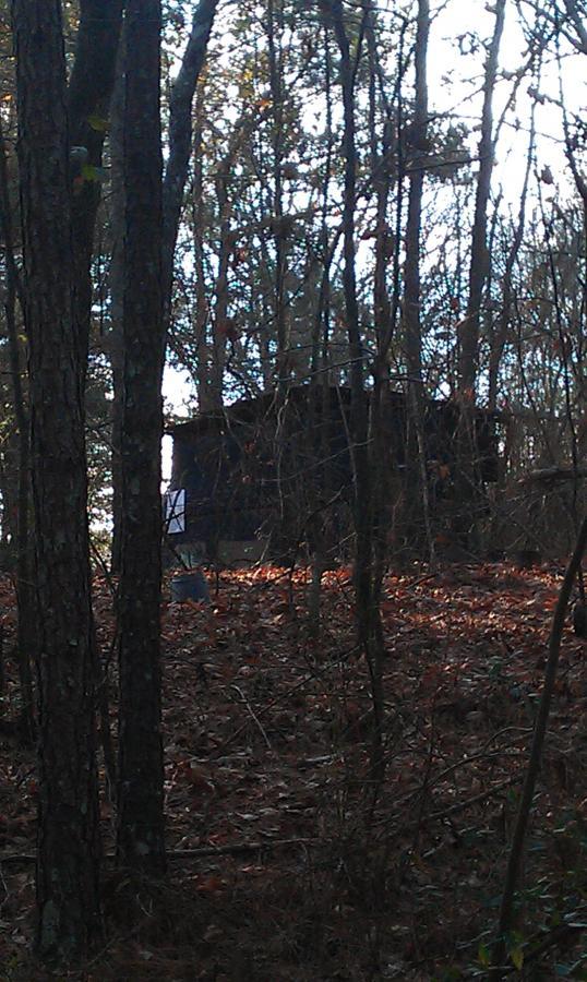 A secluded wooden structure partially hidden among trees and underbrush, with fallen leaves covering the ground, on a clear day with sunlight filtering through the foliage. Lake Rim Park Trail mountain bike trail.