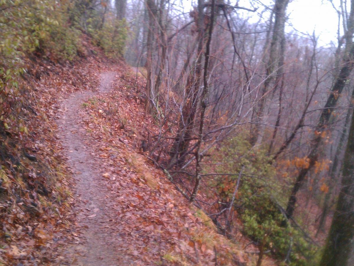 A winding dirt path through a forested area, lined with fallen leaves and surrounded by bare trees. The scene appears misty and damp, suggesting a cool, overcast day. Kitsuma mountain bike trail.