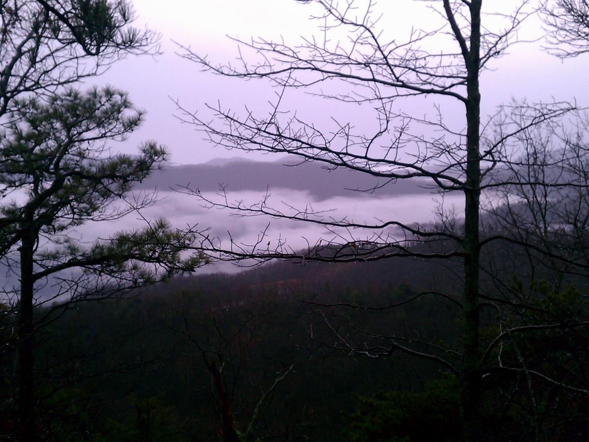 Misty mountain landscape with bare branches in the foreground and low clouds hovering over the valley below, under a soft purple sky. Kitsuma mountain bike trail.