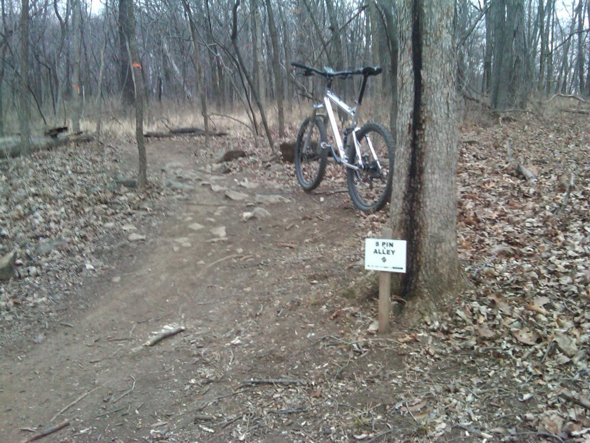 A silver mountain bike is parked next to a tree along a dirt trail in a wooded area. A sign labeled "8 Pin Alley" is visible near the base of the tree, indicating the trail name. The ground is covered with leaves, and the landscape shows a mix of grass, rocks, and trees. Swope Park Trail mountain bike trail.