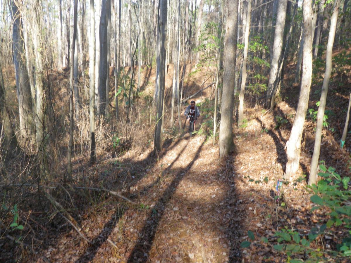 A person riding a bicycle along a narrow dirt trail in a dense forest. The scene is surrounded by tall trees, with sunlight filtering through the branches, casting long shadows on the ground covered in fallen leaves. Green plants and small shrubs are visible along the sides of the path. Lake Rim Park Trail mountain bike trail.