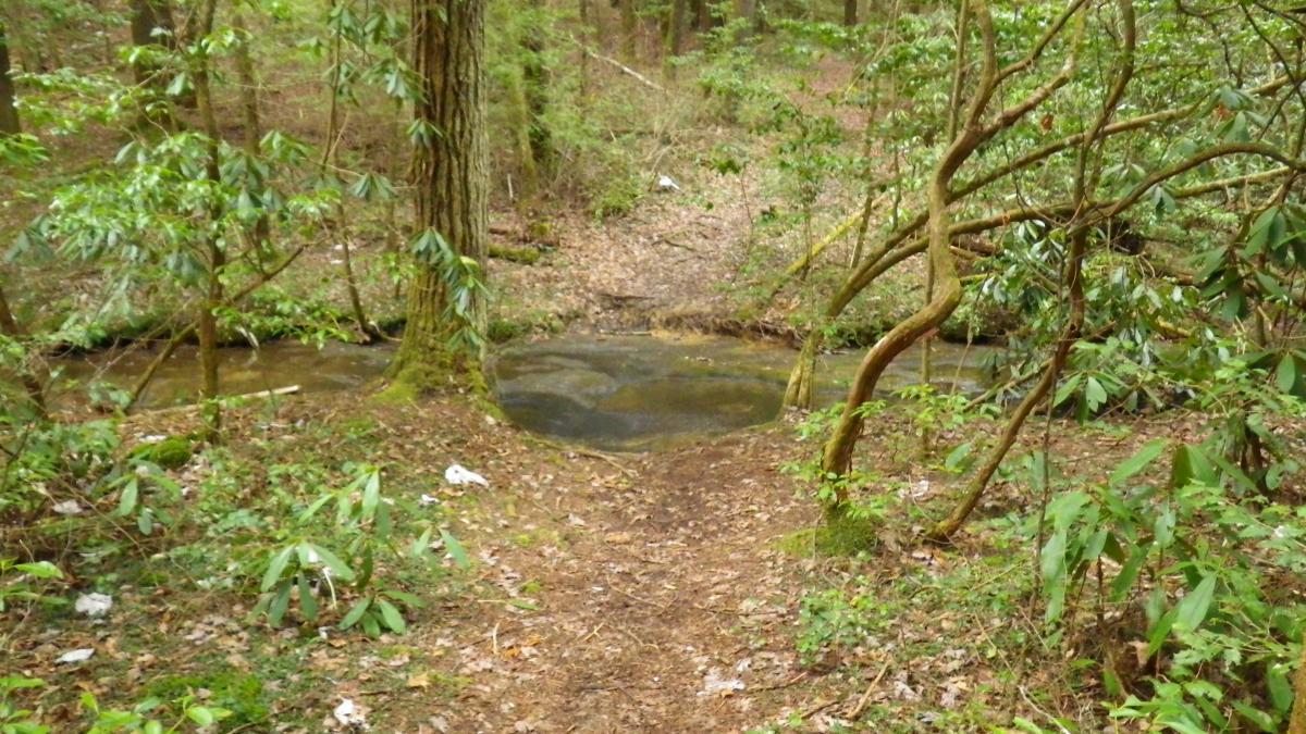 A serene forest scene featuring a narrow dirt path leading towards a gently flowing stream, surrounded by lush greenery and tall trees. Sunlight filters through the leaves, illuminating patches of the forest floor covered in fallen leaves and small plants. Cane Creek (sheltowee Trace Trail) mountain bike trail.