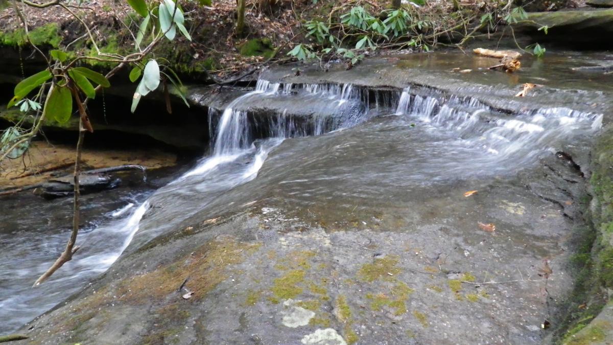 A serene scene of a small waterfall cascading over smooth rocks in a forested area. The water flows gently, creating a peaceful atmosphere, while lush green foliage and moss add natural beauty to the surroundings. Cane Creek (sheltowee Trace Trail) mountain bike trail.