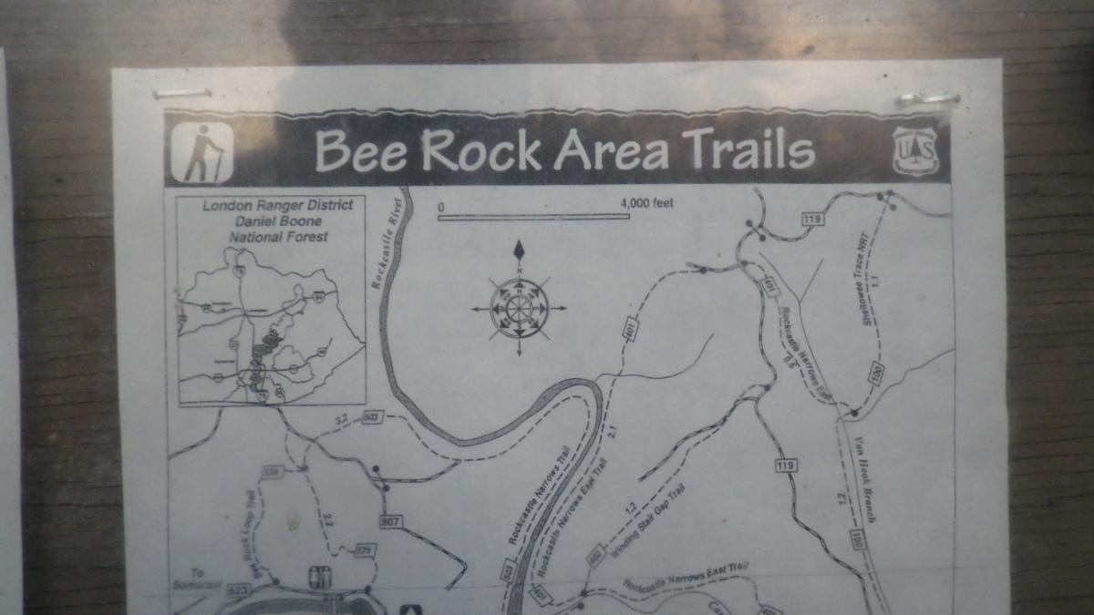 Map of the Bee Rock Area Trails in the Daniel Boone National Forest, showing various hiking trails, points of interest, and a compass rose. Includes a small inset map of the London Ranger District. The map is oriented with north at the top. Cane Creek (sheltowee Trace Trail) mountain bike trail.
