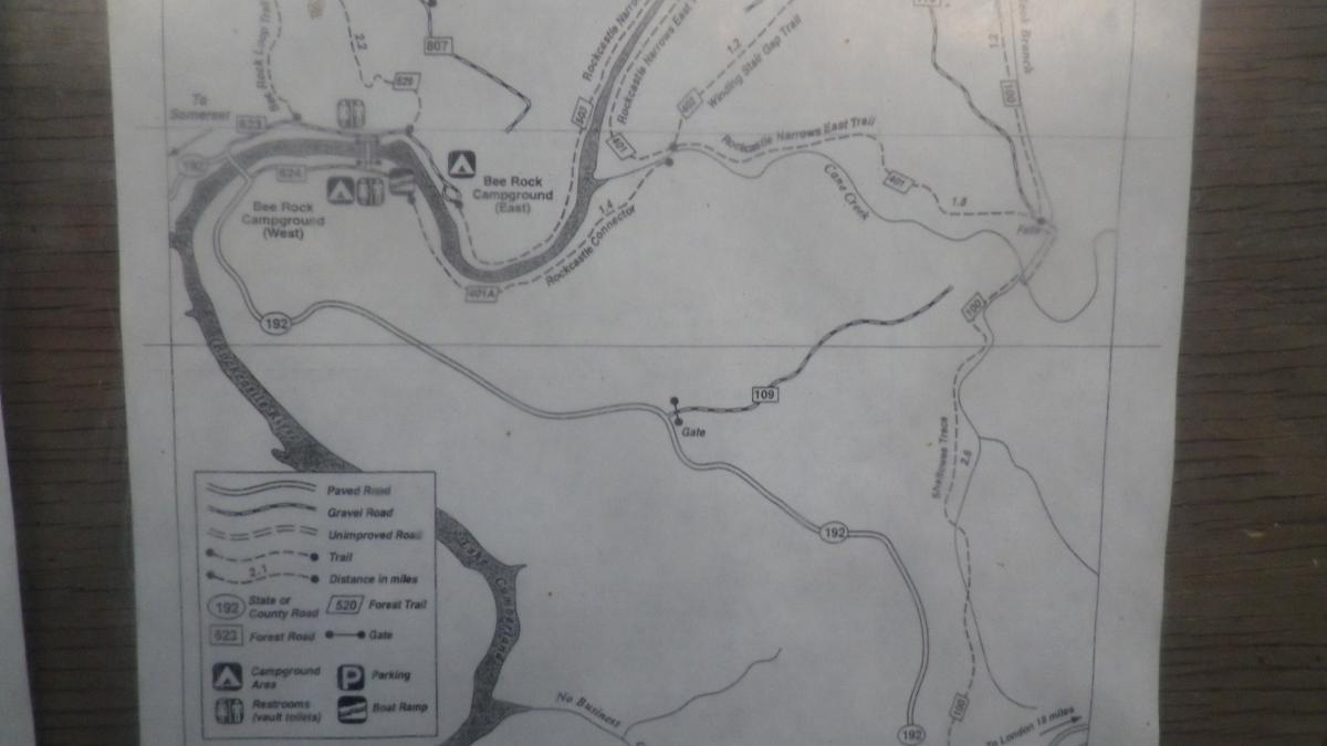 A black and white map showing the layout of Bee Rock Campground, including labeled locations such as Bee Rock Campground (West and East), various trails, roads, and a gate. The map includes a legend indicating types of roads and points of interest. Cane Creek (sheltowee Trace Trail) mountain bike trail.