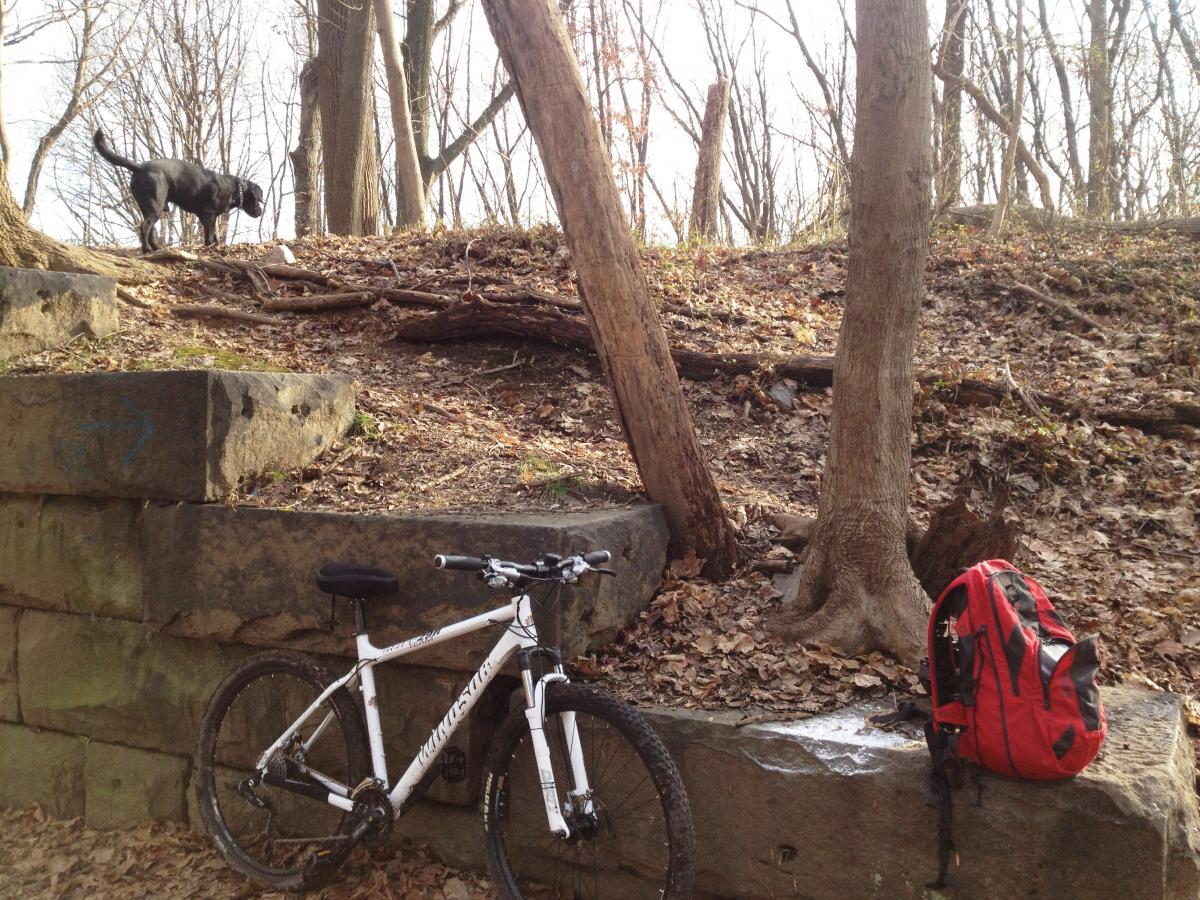 A black dog walking on a hillside covered with leaves, beside a rocky outcrop. In the foreground, a white mountain bike rests against the stones, and a red backpack is positioned nearby. The scene is set in a wooded area with bare trees in the background, indicating early spring or fall. Belmont Plateau mountain bike trail.