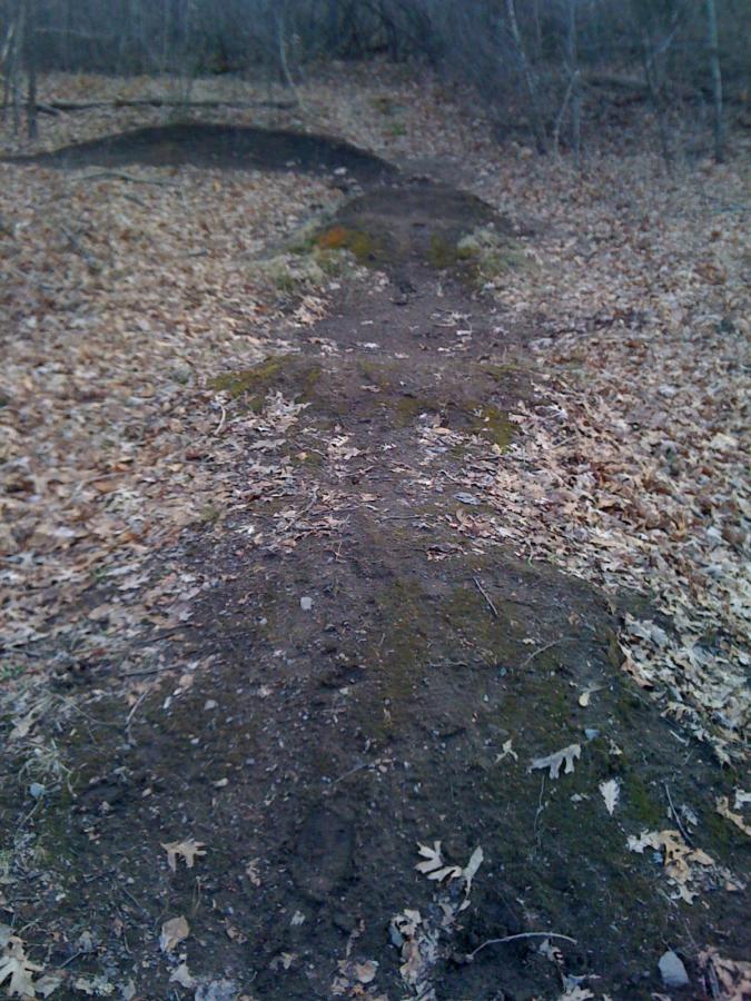 A narrow dirt path winding through a forest, surrounded by fallen leaves and bare trees. The trail shows signs of use, with some moss and small rocks along the edges. Belmont Conservation mountain bike trail.