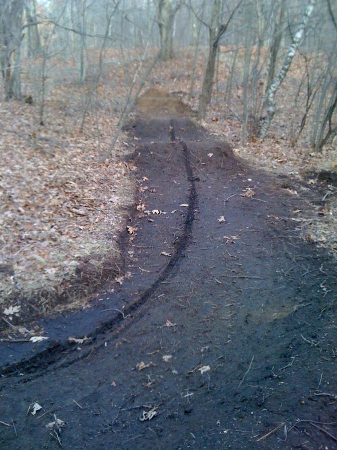 A winding dirt trail through a wooded area, with patches of fallen leaves and a backdrop of trees. The trail shows tire tracks, indicating use for biking or off-road vehicles. Belmont Conservation mountain bike trail.