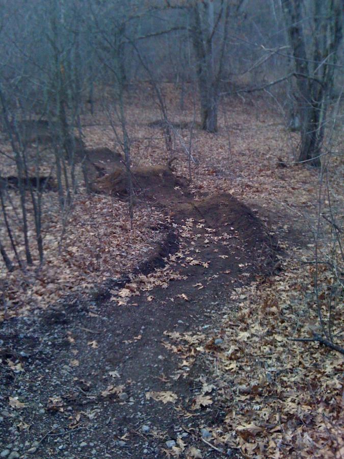 A narrow, winding dirt path through a wooded area, surrounded by leafless trees and scattered brown leaves on the ground. The scene appears to be in early spring or late autumn, with a cloudy sky adding to the somber ambiance. Belmont Conservation mountain bike trail.