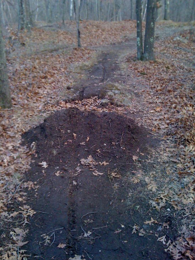 A dirt trail through a forest, featuring a mound of loose soil and scattered fallen leaves. The path appears worn, indicating frequent use, with trees lining either side. Belmont Conservation mountain bike trail.
