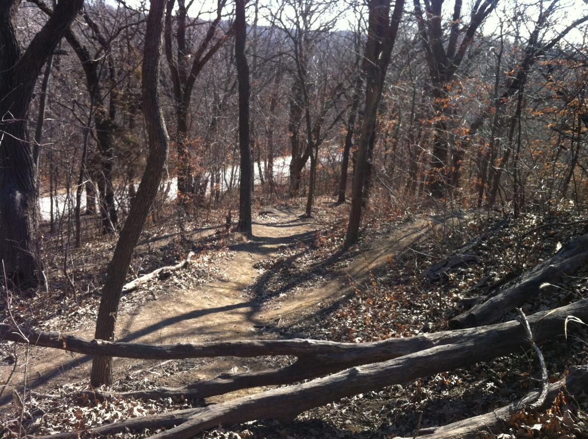 A winding dirt path through a sparse forest, lined with leafless trees and scattered fallen branches. In the background, a glimpse of a road can be seen through the trees. The scene is set in a natural environment, showcasing a peaceful, wooded area during the winter season. Lewis And Clark Monument mountain bike trail.