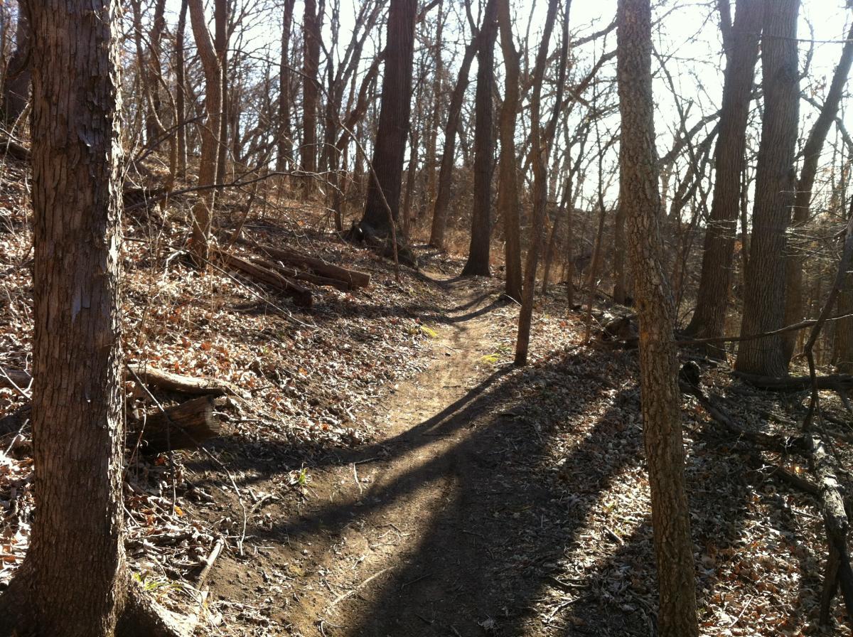 A winding dirt path through a wooded area, surrounded by trees with bare branches and scattered leaves on the ground. The sunlight filters through the trees, casting shadows along the trail. Lewis And Clark Monument mountain bike trail.