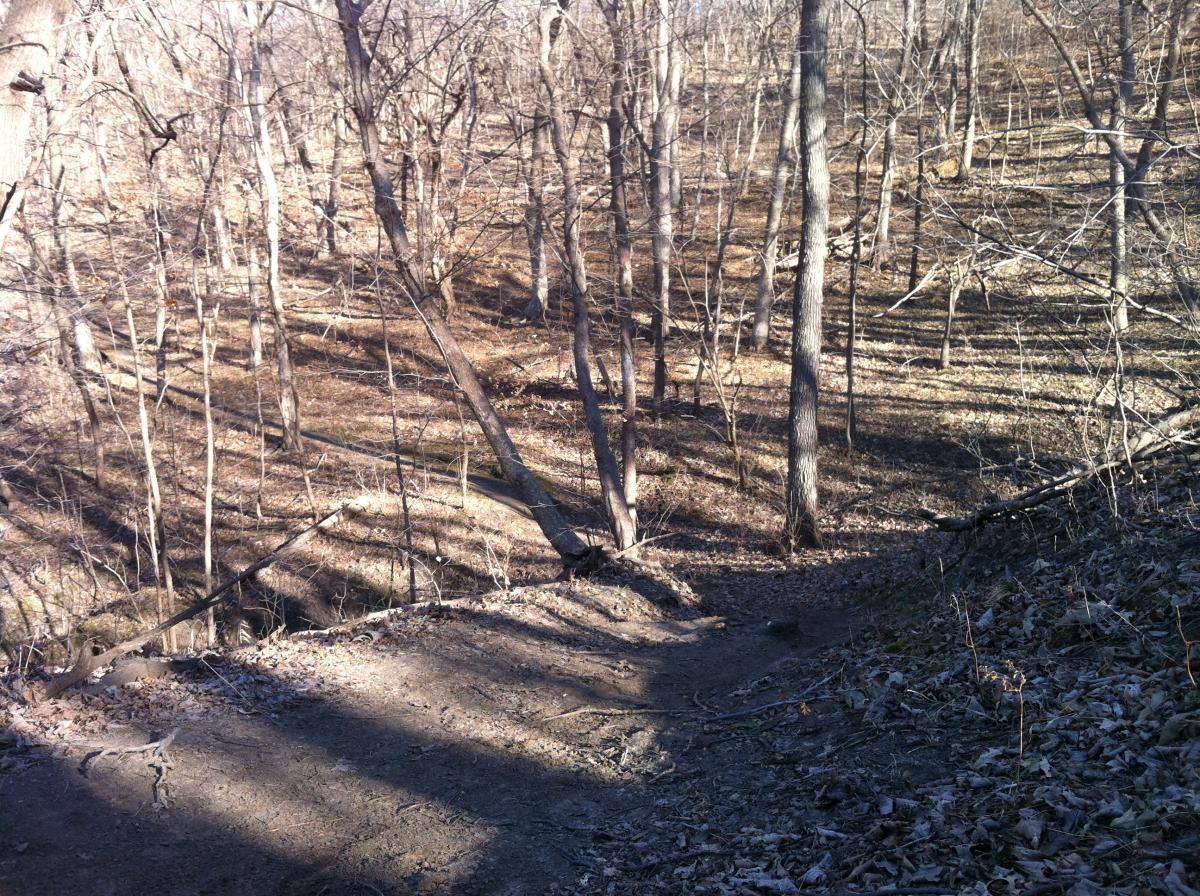 A winding dirt path leads through a wooded area with bare trees and fallen leaves, capturing the tranquility of an early winter landscape. Soft shadows stretch across the ground, creating patterns among the trees. Lewis And Clark Monument mountain bike trail.