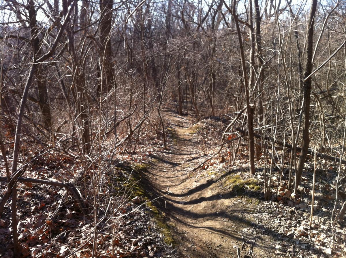 A narrow dirt trail winding through a dense, leafless forest with twisted branches and scattered fallen leaves. The scene is set under a clear sky, suggesting a late autumn or early winter environment. Lewis And Clark Monument mountain bike trail.