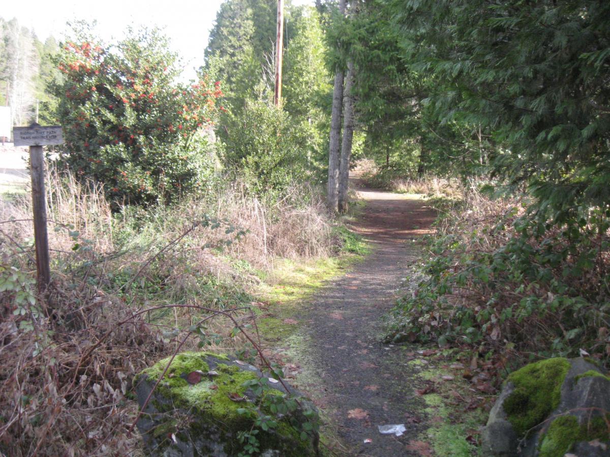 A narrow, winding dirt path surrounded by lush greenery and trees, with a wooden signpost in the foreground. The path is bordered by shrubs and moss-covered rocks, leading into a peaceful, wooded area. Salmon Creek Trail mountain bike trail.