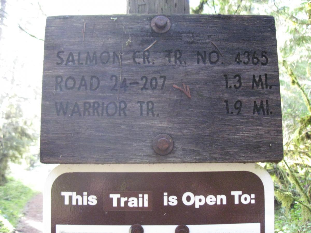 Wooden trail sign indicating directions and distances to Salmon Creek Trail No. 4365, Road 24-207 (1.3 miles), and Warrior Trail (1.9 miles). The sign is partially obscured by forest greenery. Salmon Creek Trail mountain bike trail.