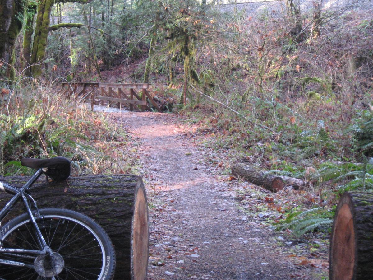 A narrow forest path leading toward a wooden bridge, surrounded by green foliage and fallen logs. A bicycle rests on a log in the foreground, with patches of sunlight filtering through the trees. The scene captures a serene, natural setting. Salmon Creek Trail mountain bike trail.