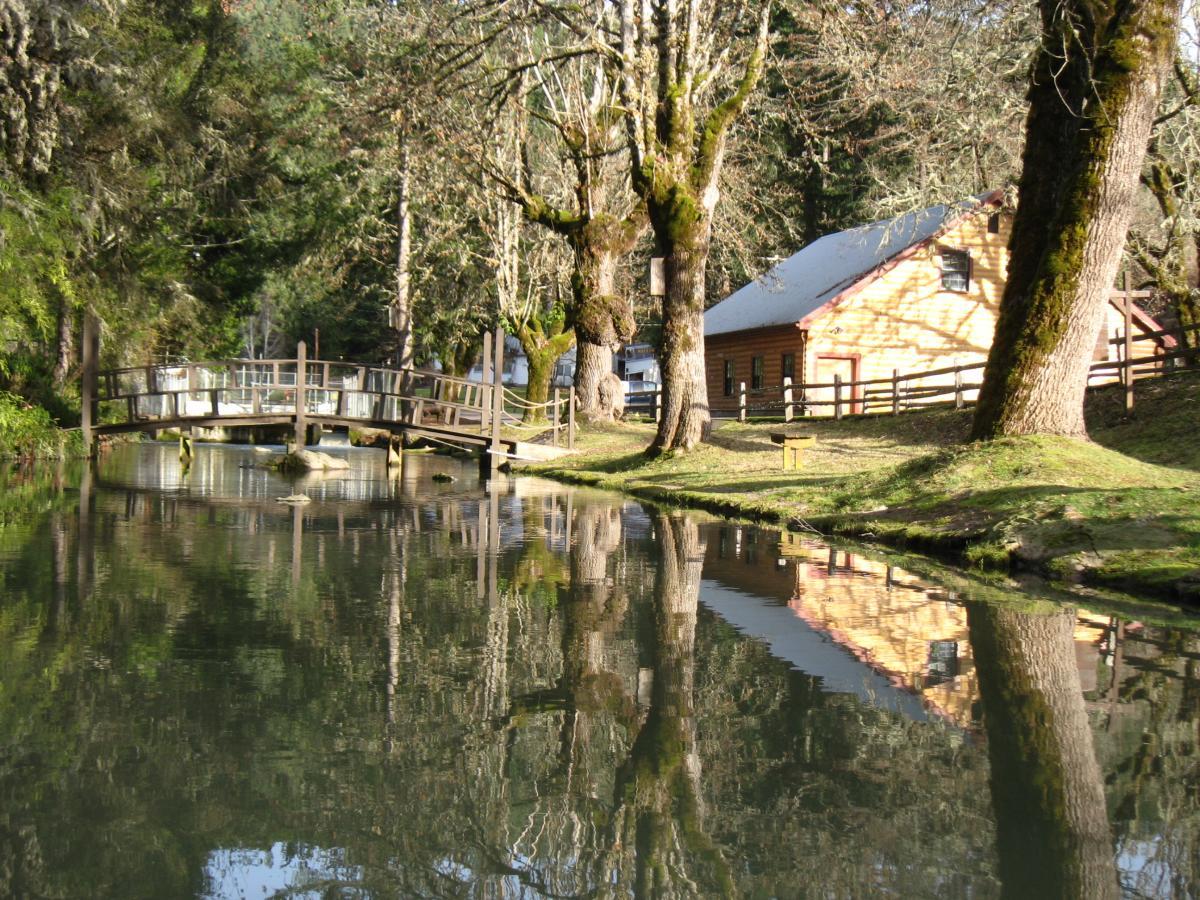A serene landscape featuring a wooden footbridge over a calm, reflective body of water. On one side of the water, a rustic wooden cabin is nestled among trees, with sunlight filtering through the branches. The scene is surrounded by lush greenery, creating a peaceful and picturesque environment. Salmon Creek Trail mountain bike trail.